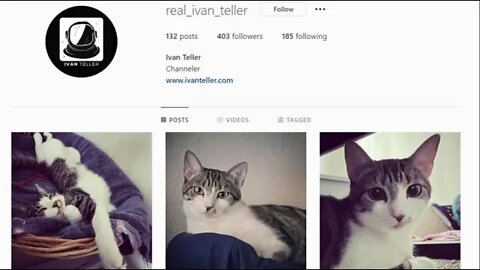 The Cats on Instagram