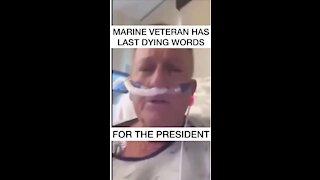 Marine Veteran Has Last Dying Words (Mirrored)