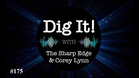 Dig It! #175: With Special Guest Maryam Henein