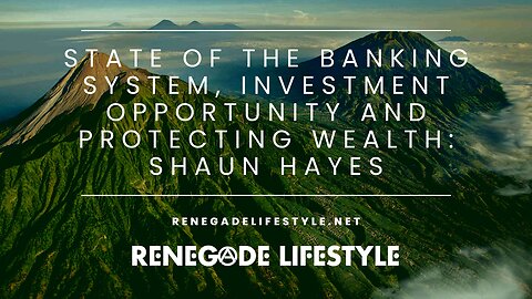 State of the Banking System, Investment Opportunity & Protecting Wealth: Shaun Hayes