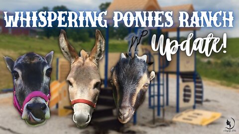 FIND OUT HOW THIS PAST SUMMER WENT AT THE WHISPERING PONIES RANCH!!!