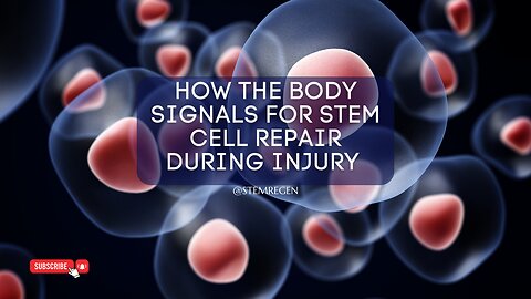 How the Body Signals for Repair During Injury