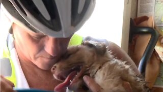 Cyclist saves puppy in distress off hot desert road In Arizona