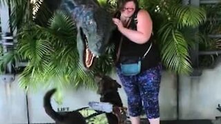 Assistance dog meets a dinosaur