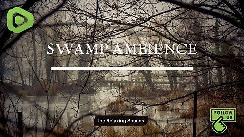 Relaxing Swamp Ambience: Soothing Nature Sounds for Healthy Sleep (Magical Swamp)