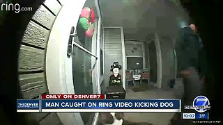 Man caught on Ring camera kicking dog is charged with animal cruelty