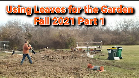 Using Leaves for the Garden Fall 2021 Part 1