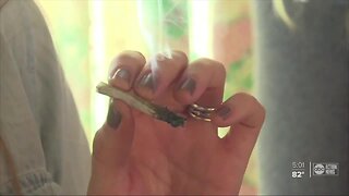 Hillsborough County leaders unanimously vote to decriminalize marijuana
