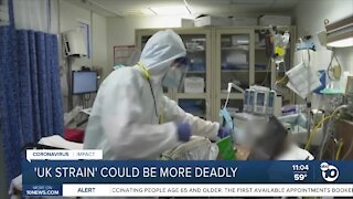 'UK strain' of COVID-19 could be more deadly