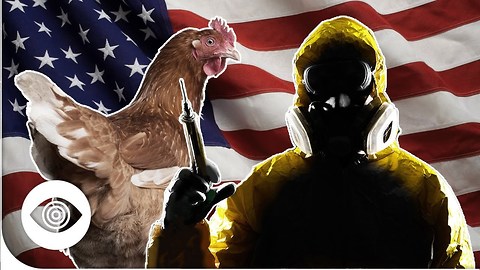 Did The USA Create Bird Flu?