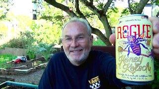Honey Kolsch - Rogue Ales - Beer Review 660