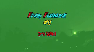 Friday Flashback #11