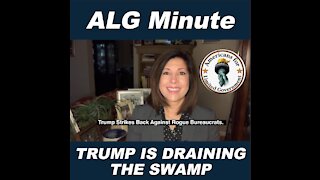 Trump Is Draining The Swamp
