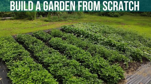 How to Build & Plant In-Ground Garden Beds