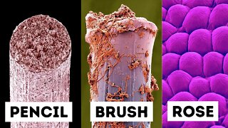 Everyday Objects Under An Electron Microscope!