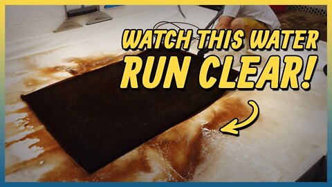 How Many Squeegees Till Clear Water ? | You're About To Find Out !