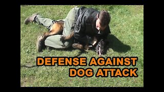 How to defend against a dog- defense against dog attack