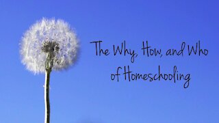 Why would a public school teacher homeschool her own kids?