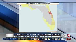 Shark attacks rare in Southwest Florida