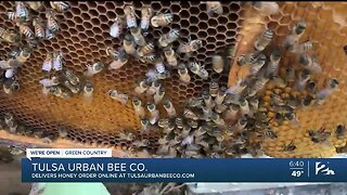 We're Open Green Country: Tulsa Urban Bee Co. Delivers Honey