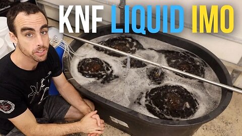 KNF VS JADAM | Making a POWERFUL Soil Treatment
