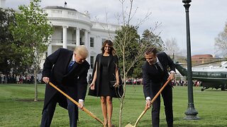 Tree Planted By Trump And Macron Reportedly Died In Quarantine