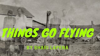 THINGS GO FLYING by Shari Lapena