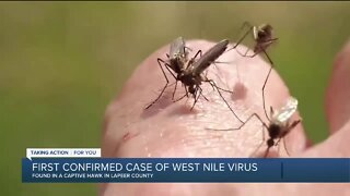 First confirmed case of West Nile Virus in Michigan