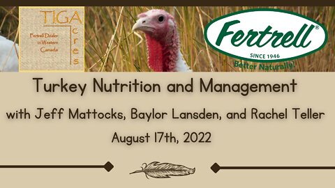 Turkey Nutrition and Management with Jeff Mattocks, Baylor Lansden, Rachel Teller, August 17, 2022