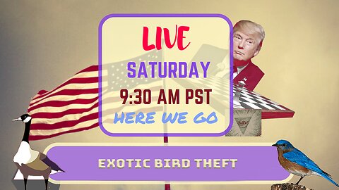 Saturday *LIVE* Exotic Bird Theft Edition