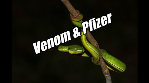 Venom and Pfizer. Ardis and Kingston Expose! Amanda Prophecy. B2T Jun 14, 2022