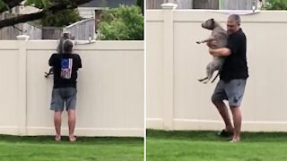 Pup gets lifted over fence so she can bark at passing cars