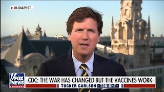Tucker Carlson: What Do Civil Rights Mean When They're Not Enforced Across the Board?
