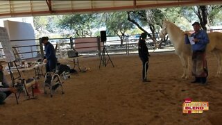 Southern Arizona Equine Health Symposium