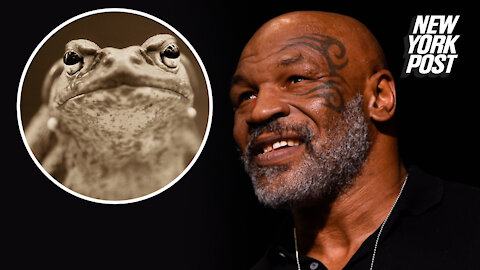 Mike Tyson 'died' while tripping on psychedelic toad venom