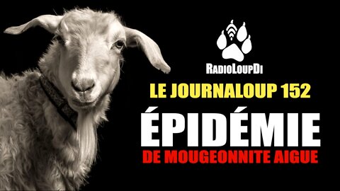 Le_JournaLoup_152 Épidémie_de_Mougeonnite_Aigue, Loup_Divergent 2022.10.22