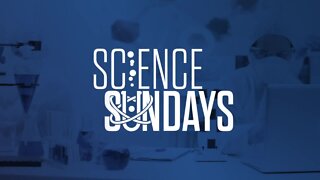 Science Sundays: A lesson in refraction