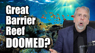 Great Barrier Reef and Climate Change - The Debate