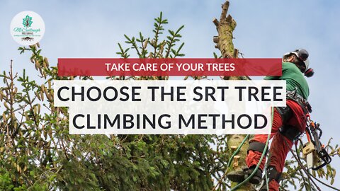 Advantages of Single Rope Technique SRT | McCullough Tree Service In Orlando, Florida