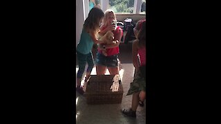 Kids Totally Shocked With New Puppy Surprise