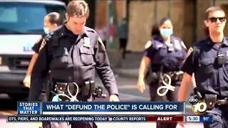 What "defund the police" is calling for