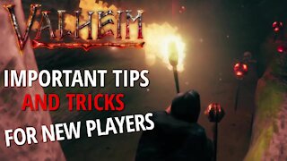 Important Tips And Tricks - Valheim