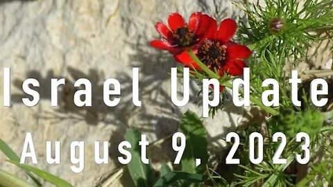 Israel Update August 9, 2023