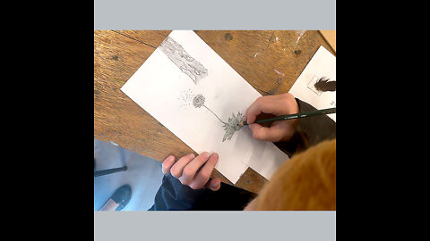 plantjes tekenen - drawing plants - innerbeeld = atelierklomp & illustratia