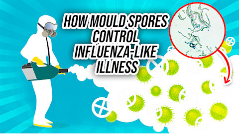How Mould Spores Control Influenza-Like Illness