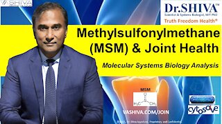 2 Ways How MSM AffectsJoint Health. A CytoSolve Systems Biology Analysis.