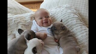 Dog hugging a sweet and cute baby