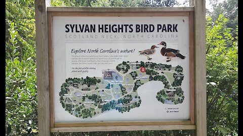 WHE on the Road at Sylvan Heights Bird Park