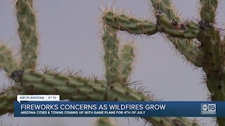 Fireworks concerns as wildfires grow