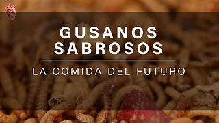 El alimento del futuro... ¿los gusanos?